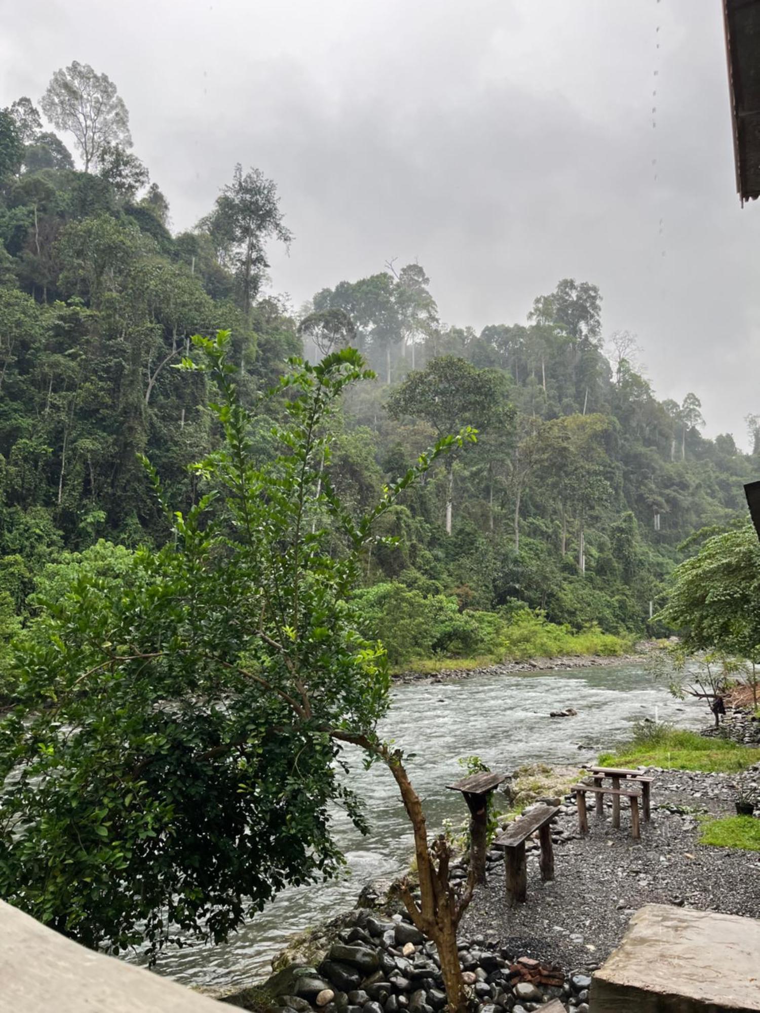 Ridho'S Homestay & Jungle Trekking Букит-Лаванг Экстерьер фото
