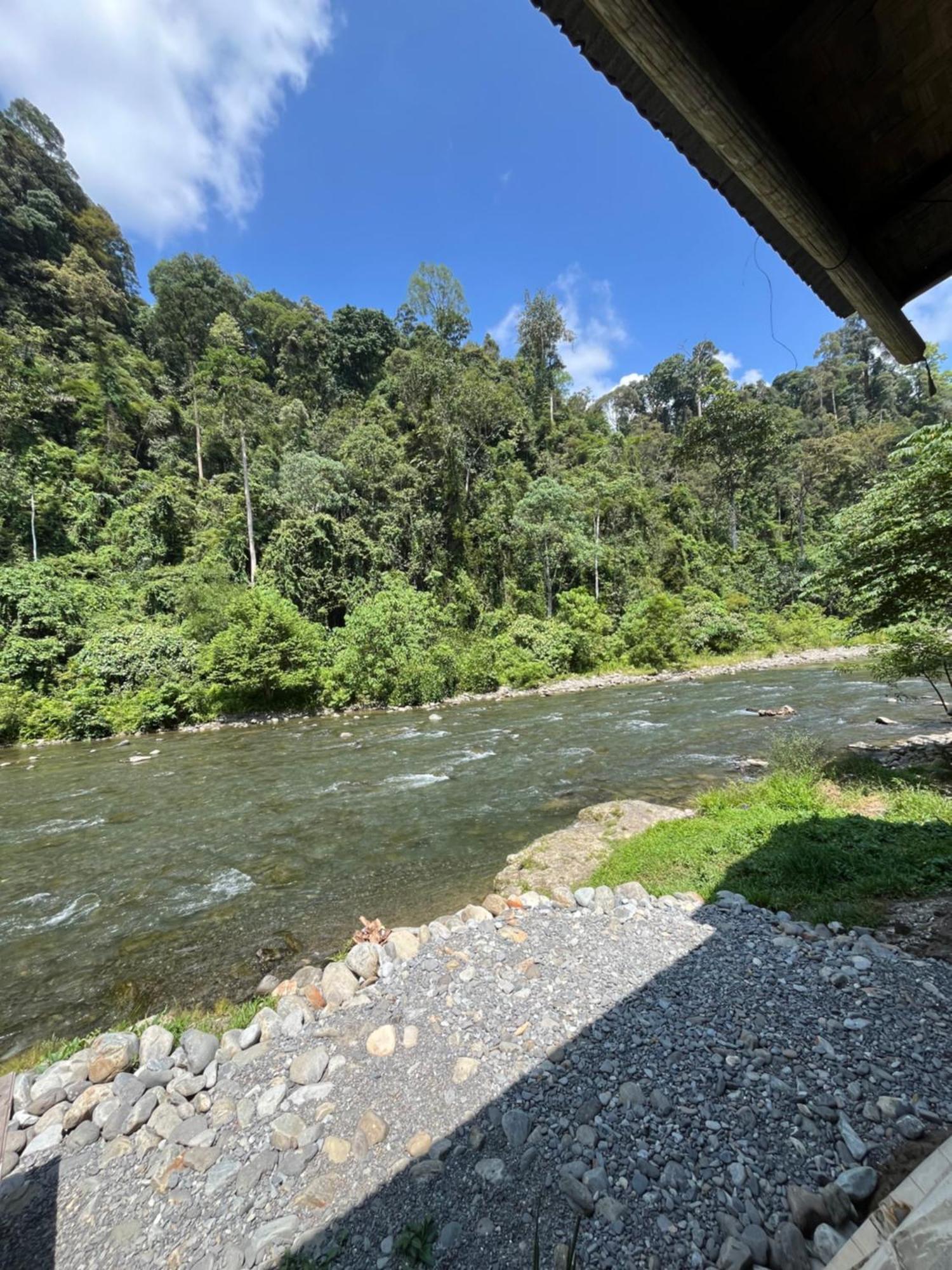 Ridho'S Homestay & Jungle Trekking Букит-Лаванг Экстерьер фото